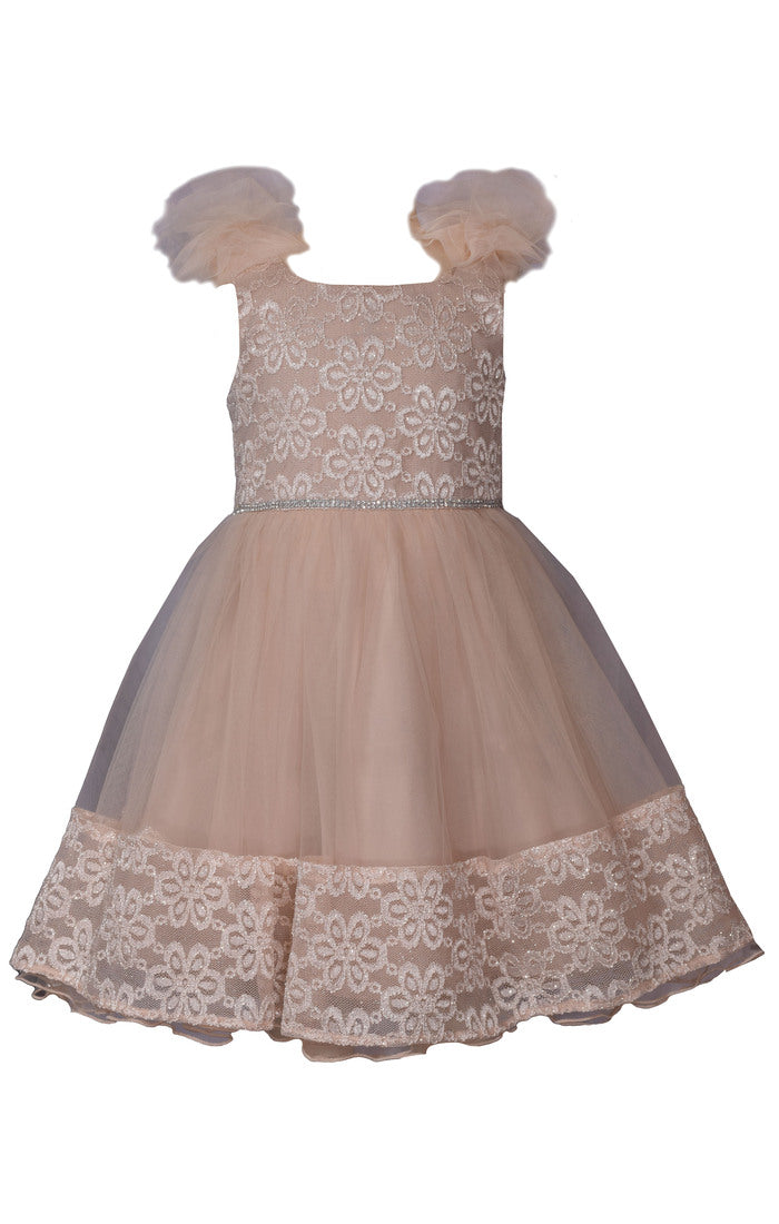 Ballet Blush Lace Dress – Tulle Party Dress with Puff Sleeves (Sizes 5–6X)