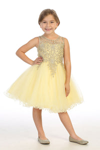 Elegant Cocktail Dress (Little Girls)