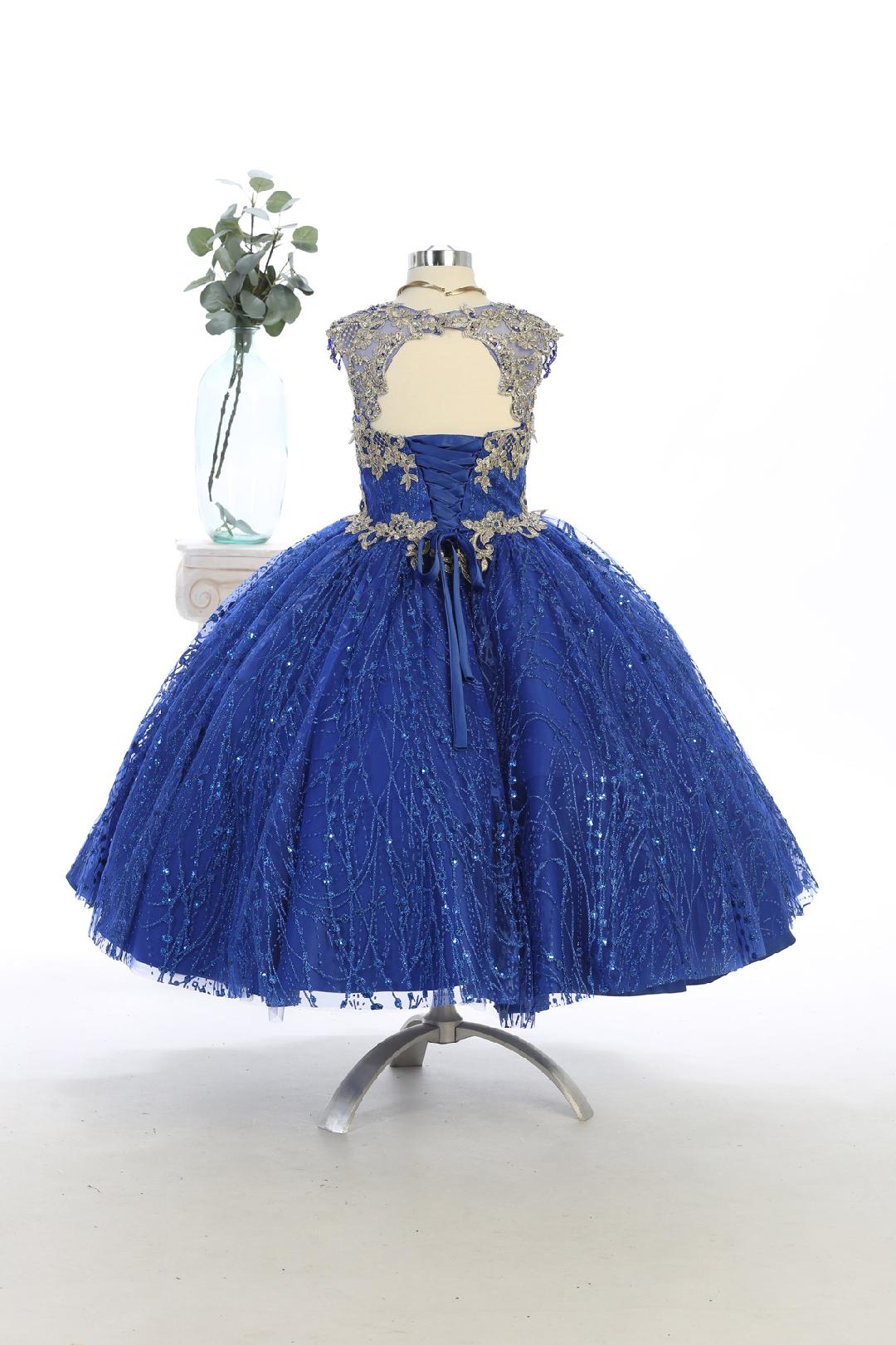 Elegant Long Party Dress Royal Blue